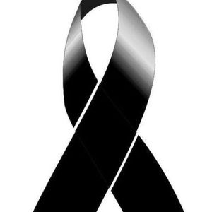 Meet your Posher, Vivian